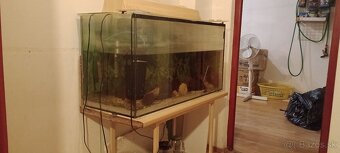 Akvárium +prislusenstvo - 3