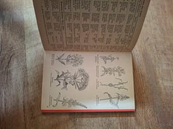 Was blüht denn da - 3