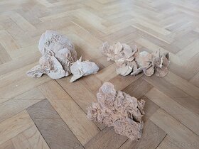 Gypsum sádrovec púštna ruža - 3