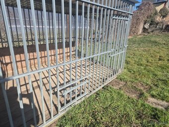 Voléria pre psa - 3