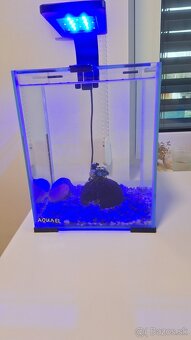 Aquael akvarium set 10l - 3