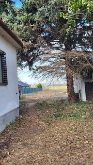 Na predaj Rd Ivanka pri Nitre Investičné - 3