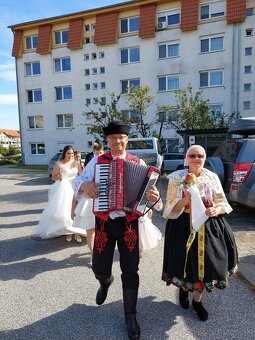 Harmonikár, akordeonista, živá hudba - 3