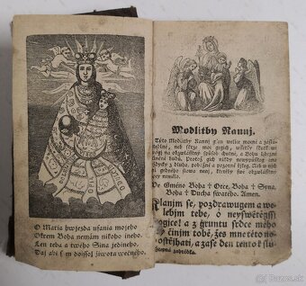 Stepná zahradka 1850 - 3