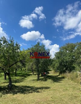 NA PREDAJ – Rekreačný pozemok – záhrada - Sečovce - 3