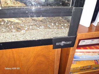 Predam terarium reptiplanet - 3