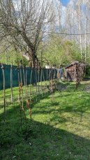 Prenájom pozemok Gabcikovo - 3