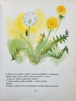 Rudo Moric - Parožtekovci - 3
