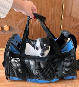 Prepravná taška pre psa - 3