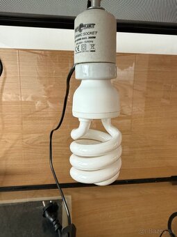 Predám terárium + vybavenie - 3