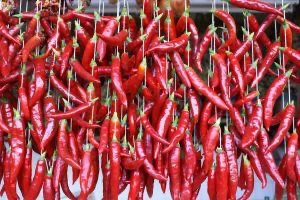 Mletá paprika DOLNOŽITAVSKA odroda:RUBIN - 3