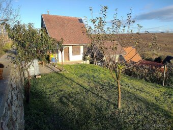 PREDÁM ZÁHRADKU S CHATOU V HOLÍČI. - 3