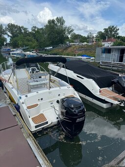 lod odyssey 21 sundeck - 3