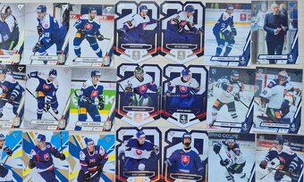 Hokejové kartičky slovenská repre 2023/2024 - 3