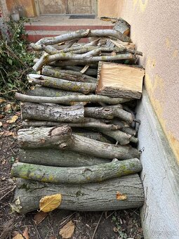 Palivové drevo Orech - 3