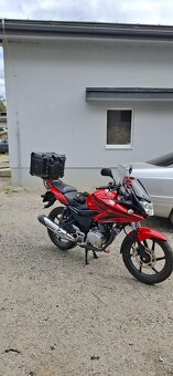 HONDA CBF 125 - 3
