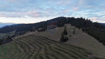 Na predaj pozemok Oravská Jasenica (11368 m2) - 3