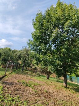 Na predaj pozemok Cerová - 3