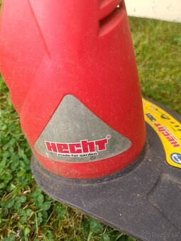 Hecht - 3