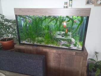 Akvárium - 3