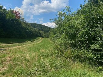 Pozemok na rekreačné využitie, Dolná Súča (Polníky), 1326 m2 - 3