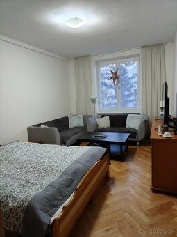 Veľký jednoizbový byt rezervované - 3