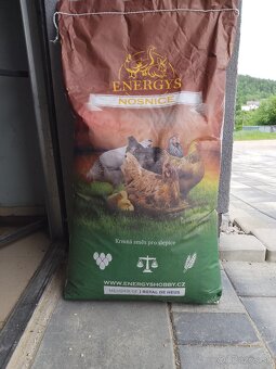 Krmivo pre nosnice - 3