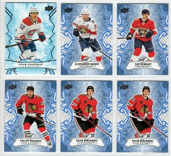 Na predaj nove hokejove karticky NHL - 3