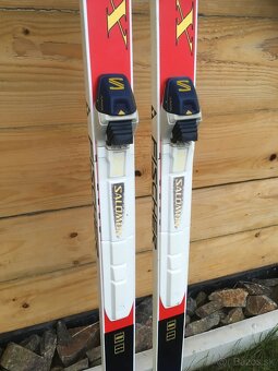 Bezky Fischer XC - 3