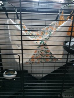 Klietka s dvomi potkaníkmi - 3