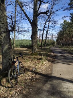 Gravel Bergamont Grandurance Expert 57 - 3