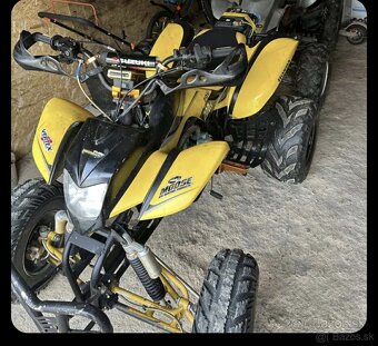Bashan 250cc - 3