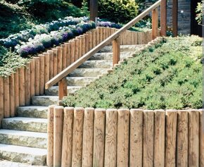 Agát, Agátové ploty - 3