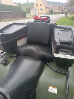 Arctic cat - 3