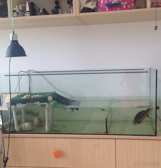 Aquarium \ Terarium - 3
