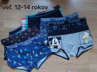 Kraťasy, boxerky - 3