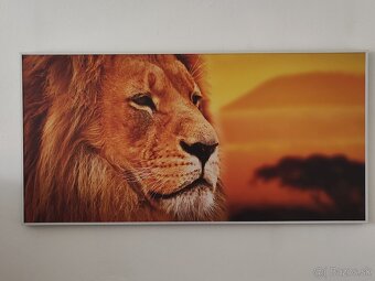 Predám infra panely 800w - 3