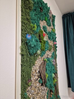 Obraz z konzumovaneho machu - 3