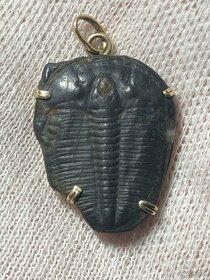 Rezerv. Nádherný zlatý šperk - Trilobit v 14 karátovom zlate - 3