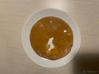 Kombucha / scoby - 3