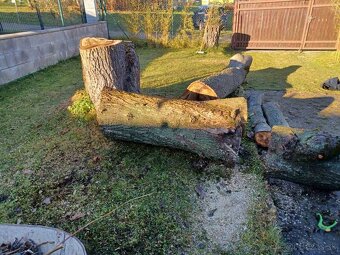 Predám orechové drevo - 3