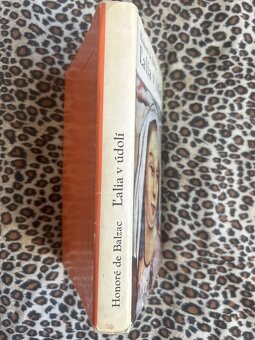 Ľalia v údolí - Honoré de Balzac - 3