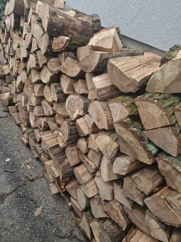 Predam palivove drevo - 3