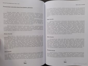 HUCUL - 3