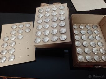 Gombiky MSS - 3