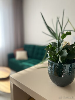 3-izbový byt na prenajom v centre Bratislavy - staré mesto - 3