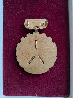 Odznak za službu v ZNB (ČSSR) - 3