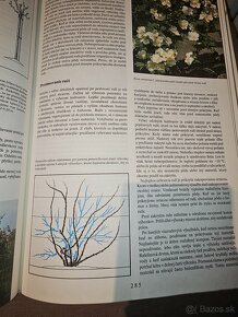 Záhradkárska encyklopédia - 3