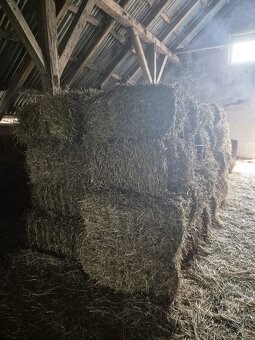 Predám slamu malé balíky - 3