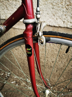 Širer 1990 Campagnolo - 3